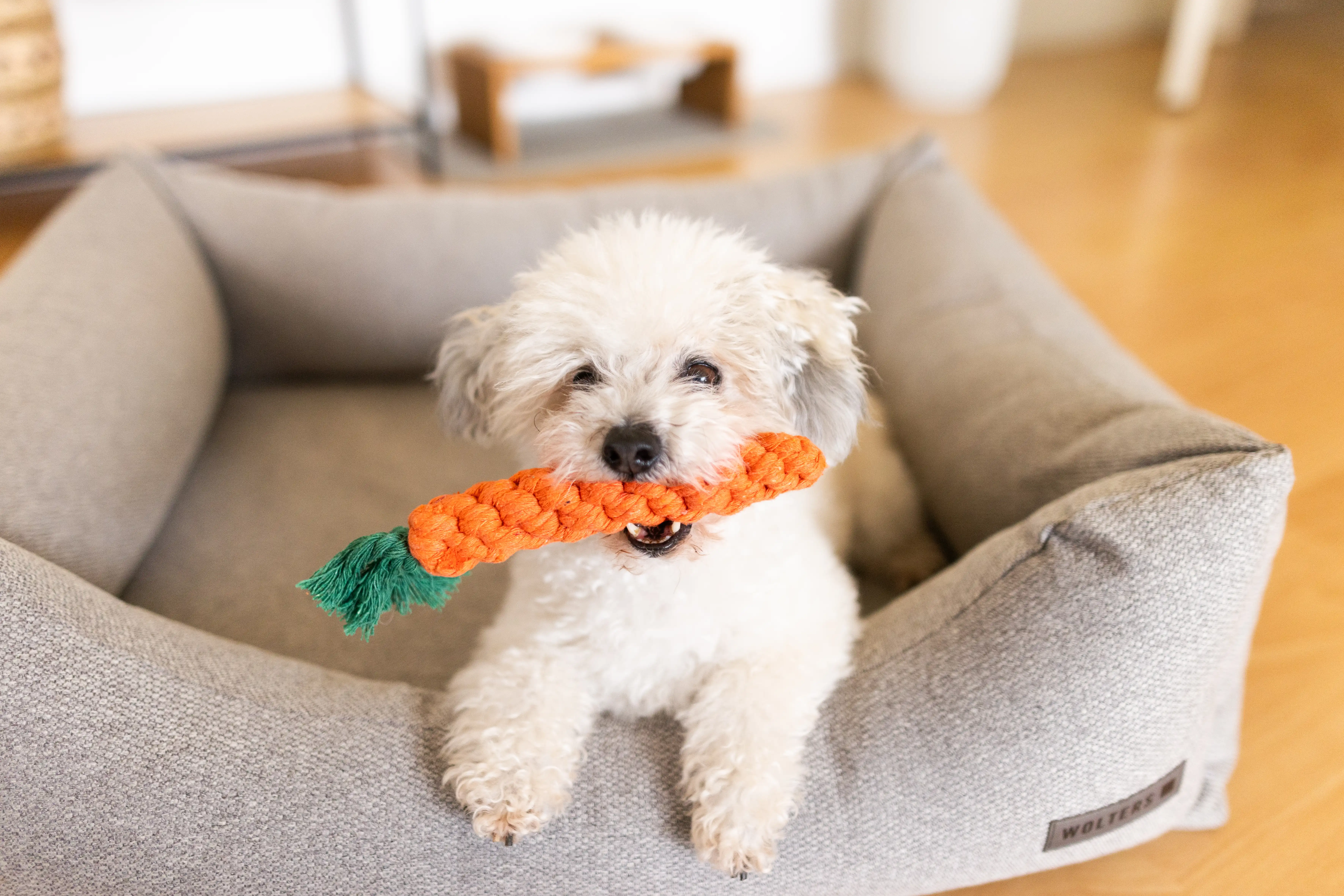 Lucky-Pet Denta Carrot